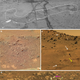 Illustration for article titled Why the Most Controversial 2020 Mars Rover Landing Site Is Also the Most Exciting